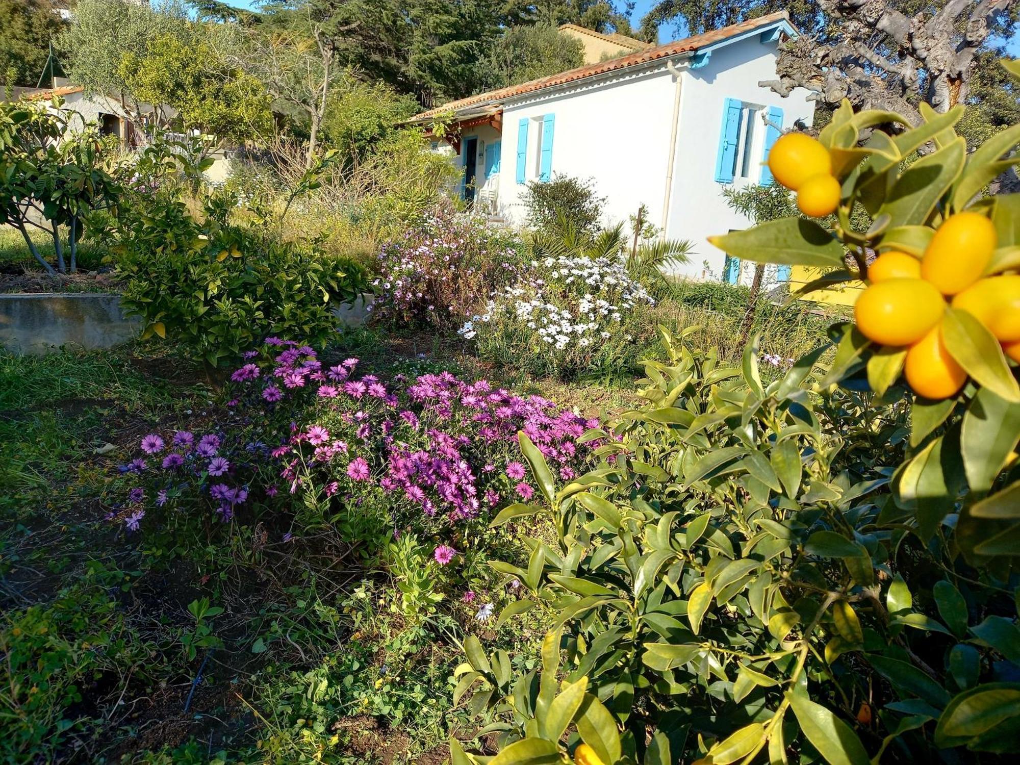 Maison 4 Face A La Mer Grand Jardin Ideal Famille Avec Pluri Animaux Saint Clair 르 라방두 외부 사진