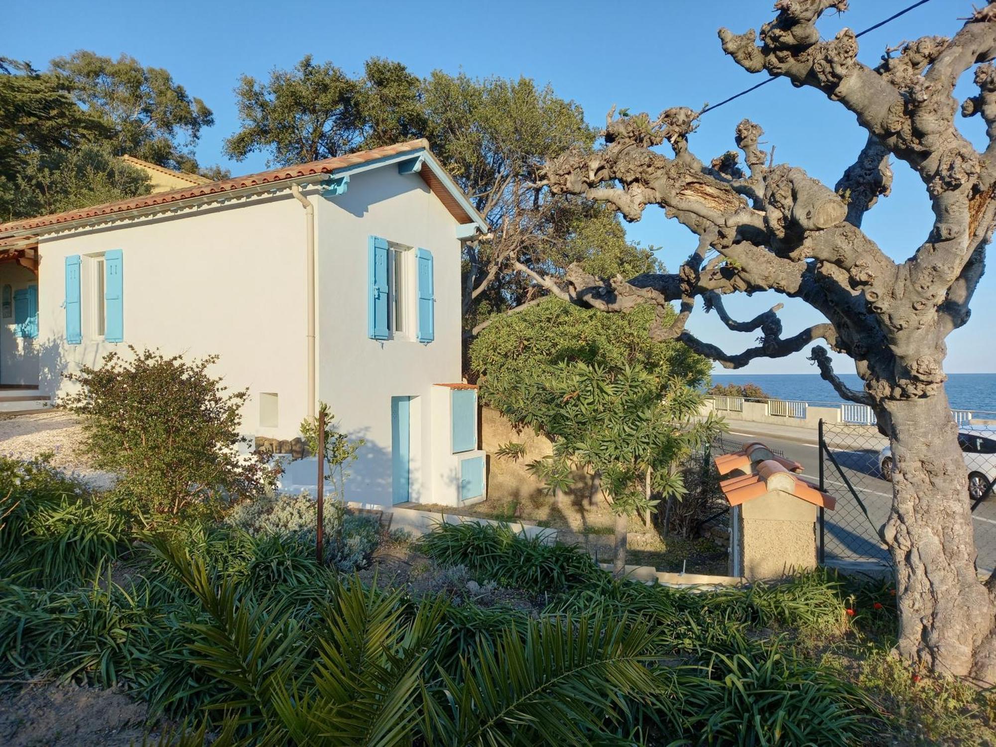 Maison 4 Face A La Mer Grand Jardin Ideal Famille Avec Pluri Animaux Saint Clair 르 라방두 외부 사진